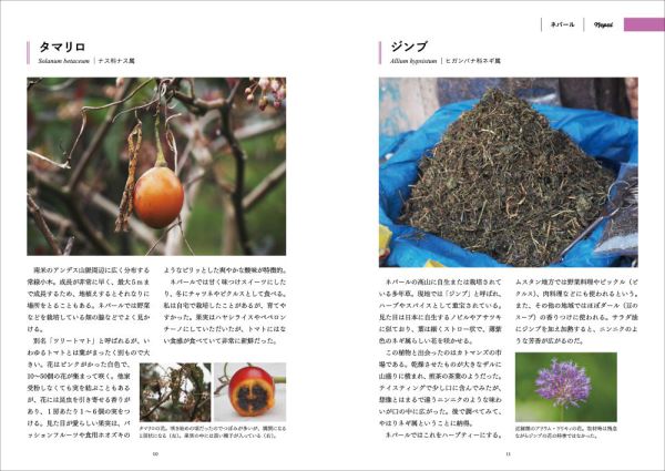 旅で出会った世界のスパイス・ハーブ図鑑　東・東南アジア編_4