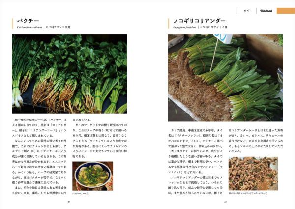旅で出会った世界のスパイス・ハーブ図鑑　東・東南アジア編_6