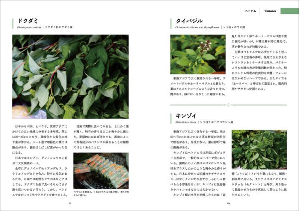 旅で出会った世界のスパイス・ハーブ図鑑　東・東南アジア編_8
