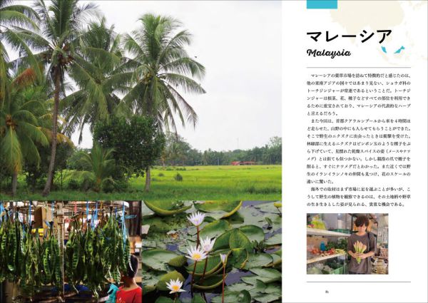 旅で出会った世界のスパイス・ハーブ図鑑　東・東南アジア編_9