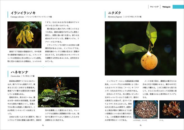 旅で出会った世界のスパイス・ハーブ図鑑　東・東南アジア編_10