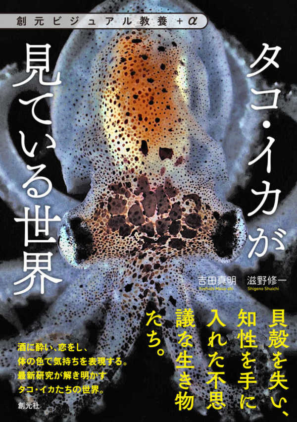 創元ビジュアル教養＋α<br> タコ・イカが見ている世界_1
