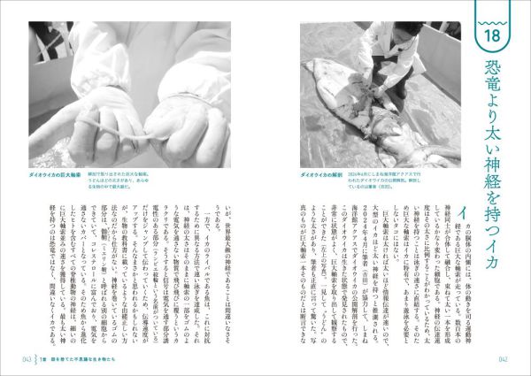 創元ビジュアル教養＋α<br> タコ・イカが見ている世界_4