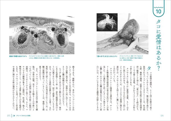 創元ビジュアル教養＋α<br> タコ・イカが見ている世界_7