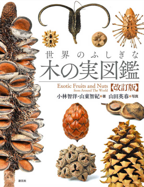 世界のふしぎな木の実図鑑【改訂版】_1