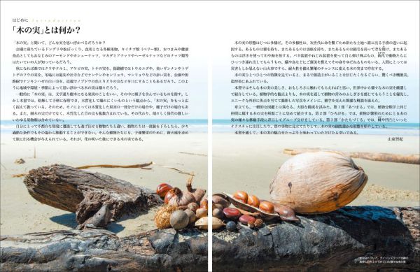 世界のふしぎな木の実図鑑【改訂版】_2