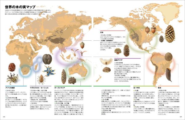 世界のふしぎな木の実図鑑【改訂版】_11
