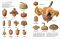 世界のふしぎな木の実図鑑【改訂版】_s3