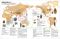 世界のふしぎな木の実図鑑【改訂版】_s11