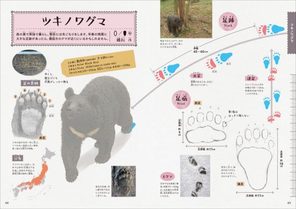 森の落としもの図鑑１<br> 足跡_4