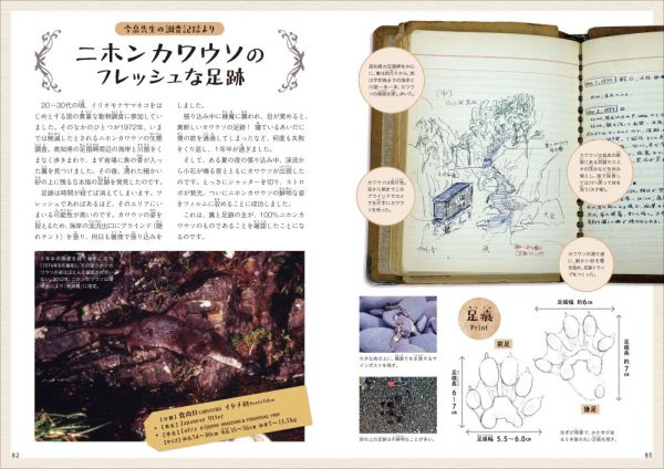 森の落としもの図鑑１<br> 足跡_5