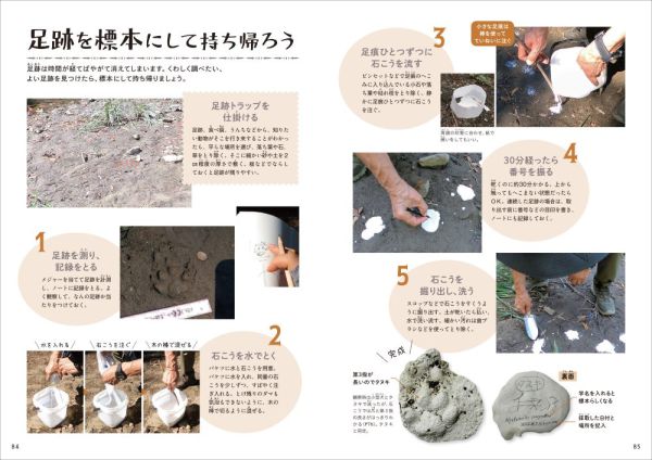 森の落としもの図鑑１<br> 足跡_6