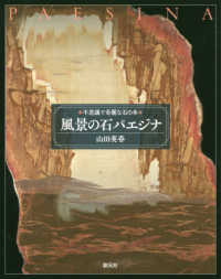 不思議で奇麗な石の本<br> 風景の石パエジナ―不思議で奇麗な石の本