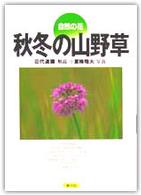 自然の花「秋冬の山野草」