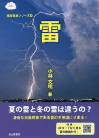 雷 極端気象シリーズ