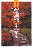 紅葉を歩く - 京都秋景