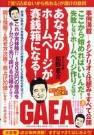 あなたのホームページが賽銭箱になる！ - 「売り込まないから売れる」が儲けの鉄則