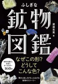 ふしぎな鉱物図鑑 ビジュアルだいわ文庫