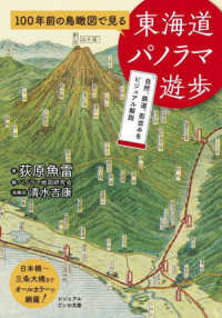 ビジュアルだいわ文庫<br> １００年前の鳥瞰図で見る東海道パノラマ遊歩―自然、鉄道、街並みをビジュアル解説