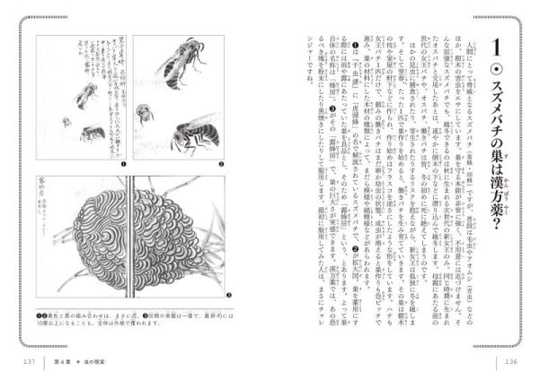 大江戸虫図鑑_2