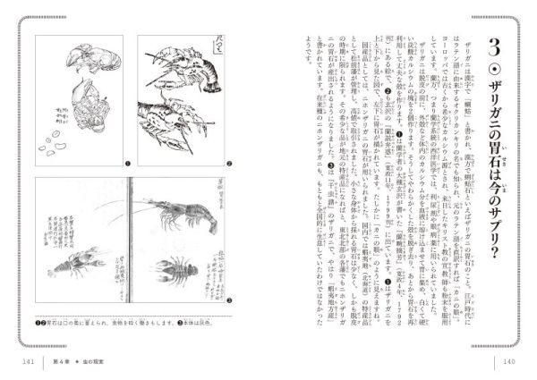 大江戸虫図鑑_4