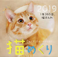 猫めくりカレンダー 〈２０１９〉 - １年３６５日、猫まみれ ［カレンダー］