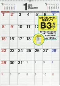 書き込み式シンプルカレンダー（Ｂ３タテ） 〈２０１７〉 ［カレンダー］
