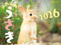 ＪＴＢのカレンダー　ふわふわうさぎ　２０２６ カレンダー２０２６