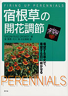 宿根草の開花調節 - 希望する草丈で、希望する日に咲かせる