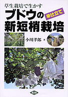 草生栽培で生かすブドウの早仕立て新短梢栽培
