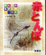 赤とんぼ 田んぼの生きものたち