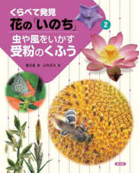 虫や風をいかす受粉のくふう くらべて発見花の「いのち」