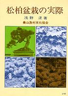 松柏盆栽の実際