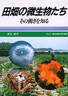 田畑の微生物たち - その動きを知る