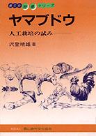 特産シリーズ　５５<br> ヤマブドウ―人工栽培の試み