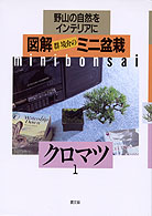 図解群境介のミニ盆栽 〈１〉 - 野山の自然をインテリアに クロマツ