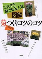 図解菊つくりコツのコツ - これなら誰でも名人芸