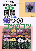 図解菊つくりコツのコツ - これなら誰でも名人芸 （新版）