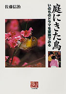 庭にきた鳥 - いのちのドラマを家族でみる 人間選書