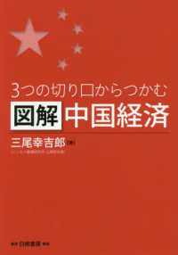 図解中国経済 - ３つの切り口からつかむ