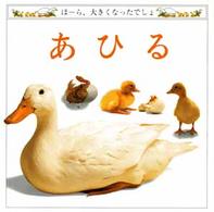 あひる - ほーら、大きくなったでしょ 児童図書館・絵本の部屋