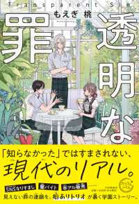 カラフルノベル<br> 透明な罪