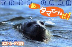 あっ、タマちゃんだ！