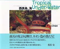 西表島の海 - Ｔｒｏｐｉｃａｌ　ｕｎｄｅｒ－ｗａｔｅｒ