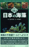 日本の海藻  基本284