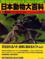 日本動物大百科 〈第１０巻〉 昆虫 ３ 石井実