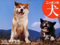 ニッポンの犬カレンダー 〈２０１５〉 ［カレンダー］