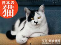 日本の猫カレンダー 〈２０１５〉 ［カレンダー］