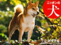 ニッポンの犬カレンダー 〈２０１６〉 ［カレンダー］