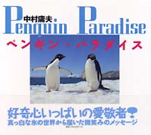 ペンギン・パラダイス　Ｐｅｎｇｕｉｎ　Ｐａｒａｄｉｓｅ